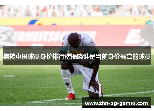 德转中国球员身价排行榜揭晓谁是当前身价最高的球员