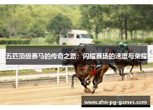 五匹顶级赛马的传奇之路：闪耀赛场的速度与荣耀